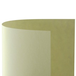 Colore Crema - 05
