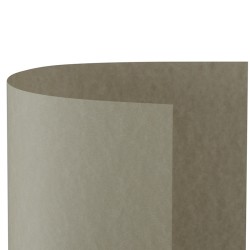 Colore Nocciola - 04