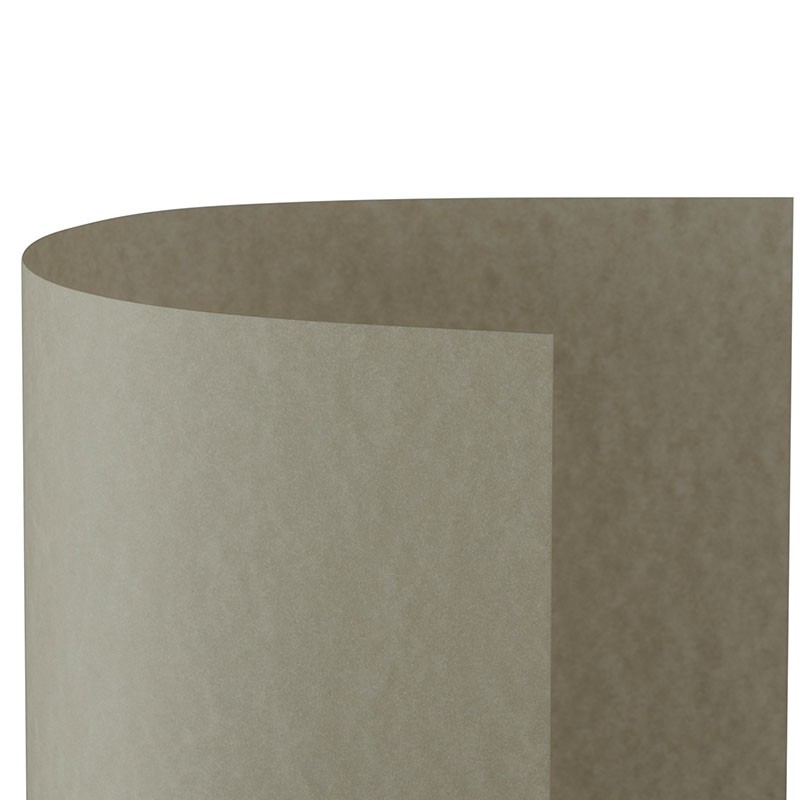 Colore Nocciola - 04